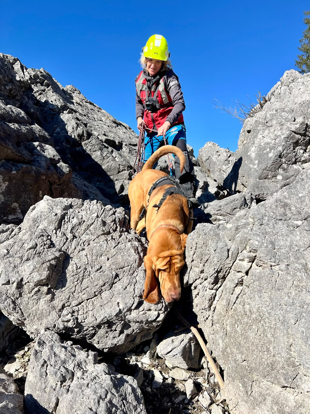 Alexandra führt ihren Hund sicher durch felsiges Berggelände